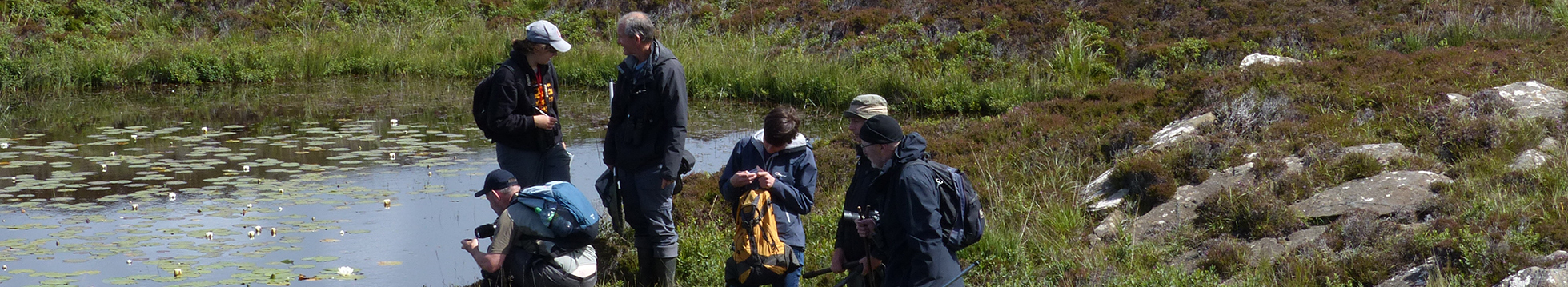 Outer Hebrides Biological Recording