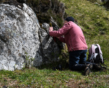 lichenologist