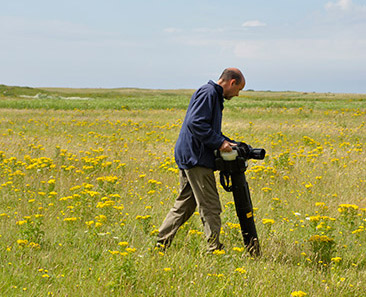 insect sampling