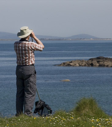 OHBR wildlife surveys